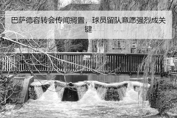ba-sa-de-rong-zhuan-hui-chuan-wen-ge-zhi-qiu-yuan-liu-dui-yi-yuan-qiang-lie-cheng-guan-jian-3-657.jpg
