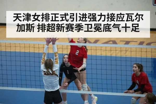 volleyball action