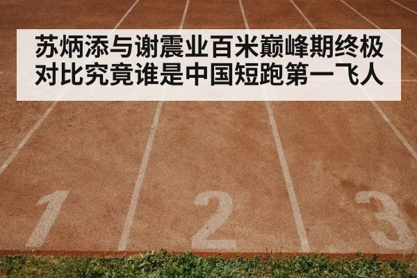 苏炳添与谢震业百米巅峰期终极对比究竟谁是中国短跑第一飞人