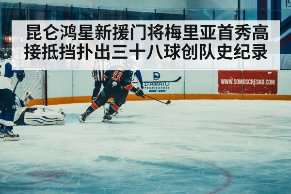 ice hockey match action