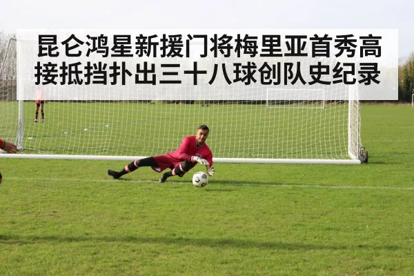 goalie making save