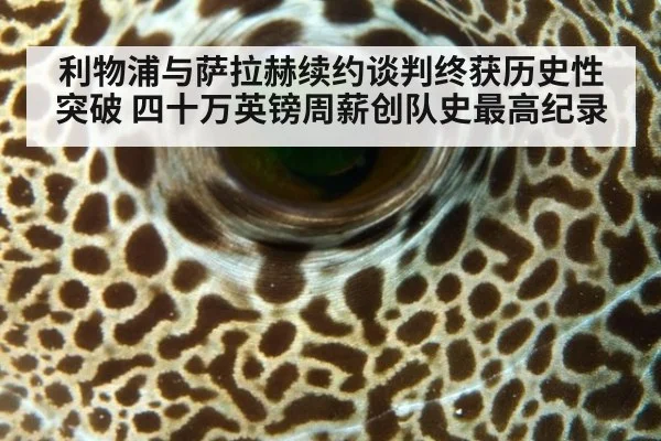 利物浦与萨拉赫续约谈判终获历史性突破 四十万英镑周薪创队史最高纪录